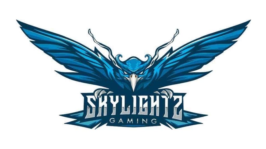 Team Skylightz gaming owner, origin, roster, achievements, history, net worth