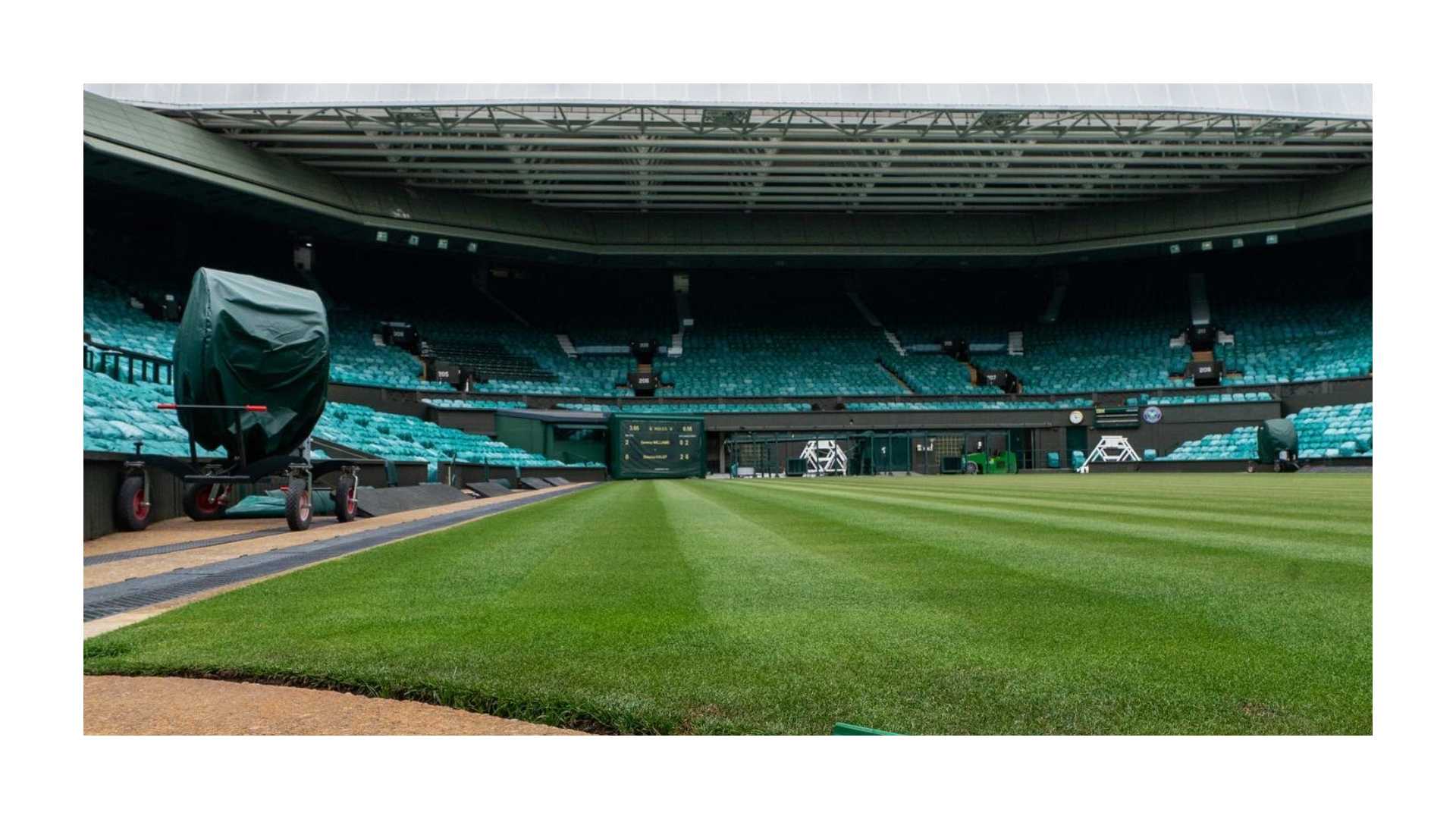 Grass court in Wimbledon; Credit: Wimbledon Twitter page